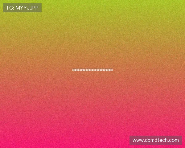 王文涛与荷方就安世半导体等议题进行深入交流并交换意见